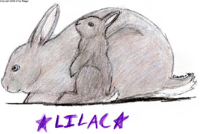 Lilac