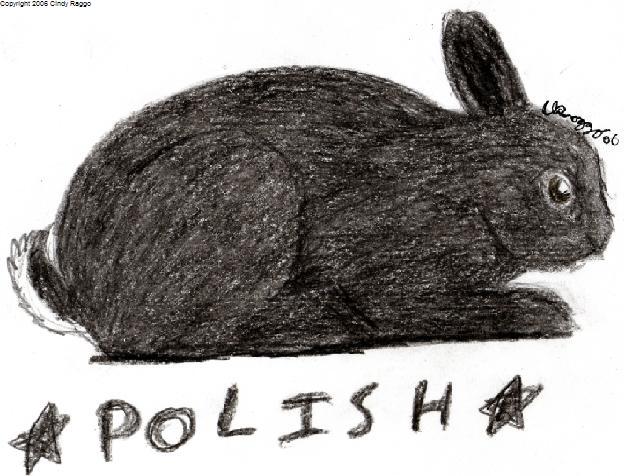 Polish