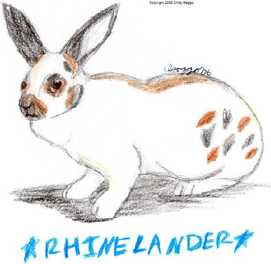 Rhinelander