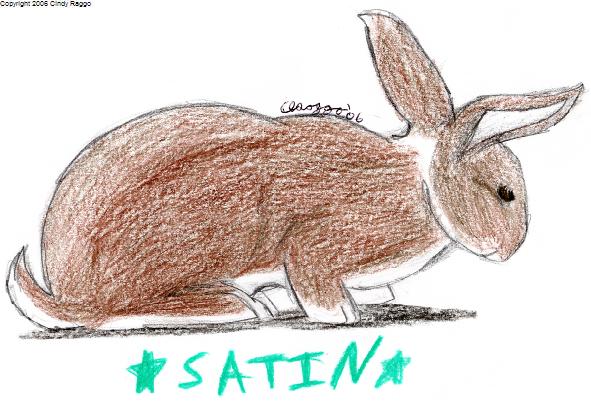 Satin