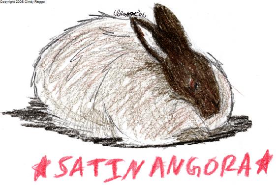 Satin Angora