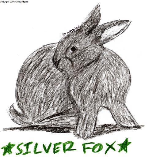 Silver Fox