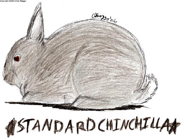 Standard Chinchilla