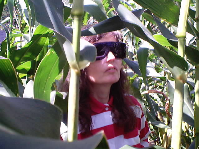 closeup photo of me in the corn