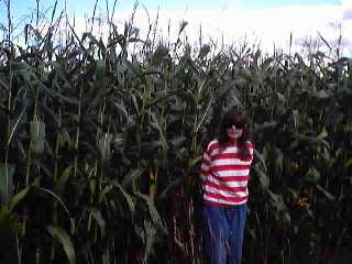 Standing on the edge of the field
