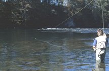 fishing
