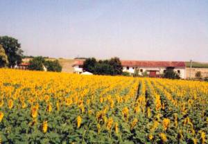 surrounded by open fields