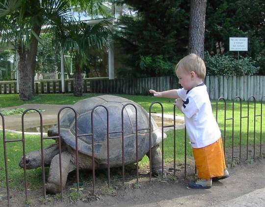 animal park at Royan