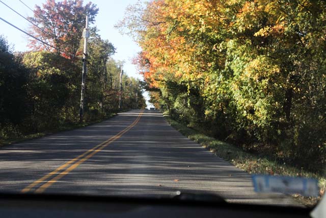 A long road with fall foliage on both sides of it taken in a car driving