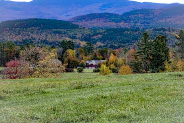 A long shot of a house suronded by trees