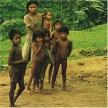 Ang Pitong tribong bumubuo sa komunidad ng Mangyan na may kanya
