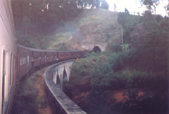 Click For Large One