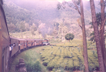 Click For Large One