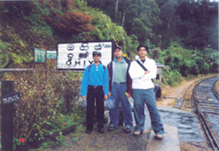 Click For Large One