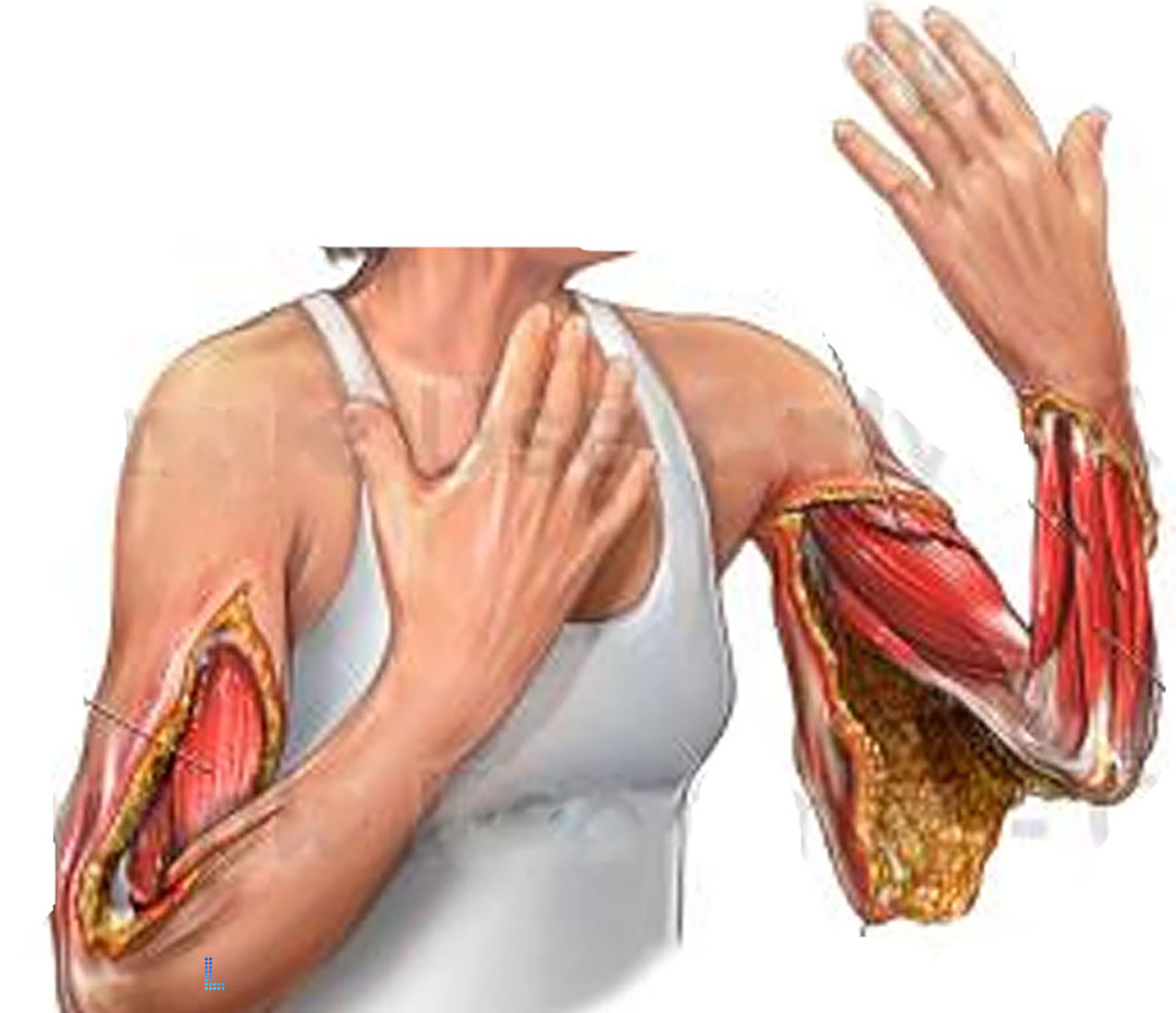 Skin Loss Injuries