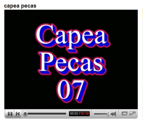 foto pecas