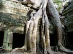 Angkor