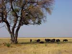 Botswana