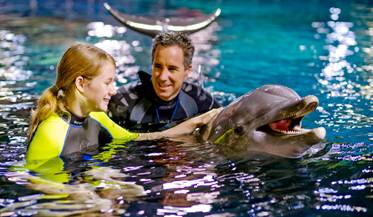 dolphins-in-depth-00.jpg