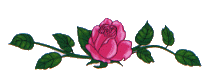 redrosebar.gif (5290 bytes)