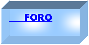 Cuadro de texto:        FORO