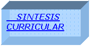 Cuadro de texto:     SINTESIS
CURRICULAR

