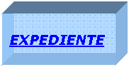 Cuadro de texto:   
EXPEDIENTE
