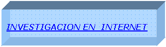 Cuadro de texto: INVESTIGACION EN  INTERNET  
 

