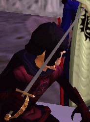 Guarded Rapier