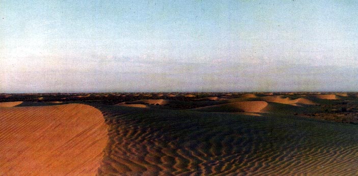 Dunas en Laadein. Foto: Goas.