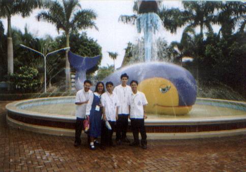 freshen up at the whale fountain