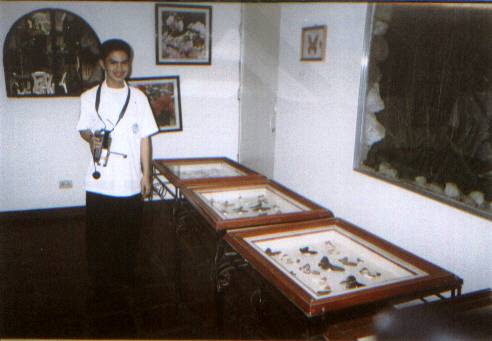 Picture with the flying creatures