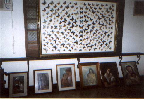 Art full of Butterflies