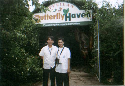 Welcome to the land of butterflies