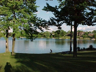 beach2.jpg (48296 bytes)