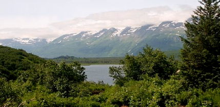 Summer view
