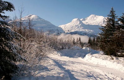 Winter scenery