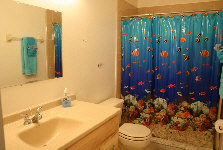 wp0b640177_0f.jpg
