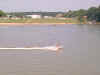 Im000232.jpg (88392 bytes)