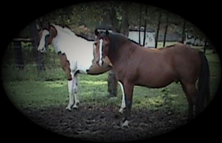 Patches and Doc