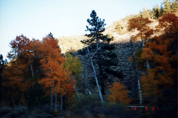 Herbst in Lake Tahoe