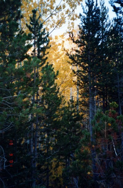 Herbst in Lake Tahoe