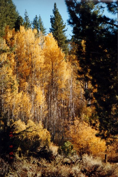 Herbst in Lake Tahoe