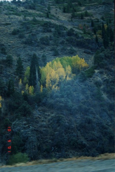 Herbst in Lake Tahoe