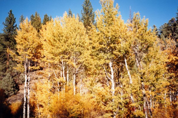 Herbst in Lake Tahoe