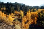 fall