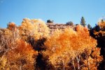 fall