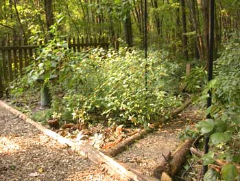 Back yard double gate