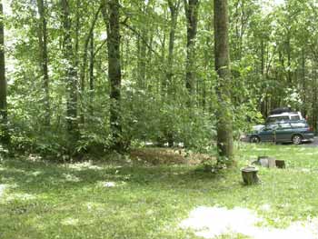 Front yard