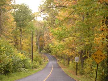 woodland in fall colors